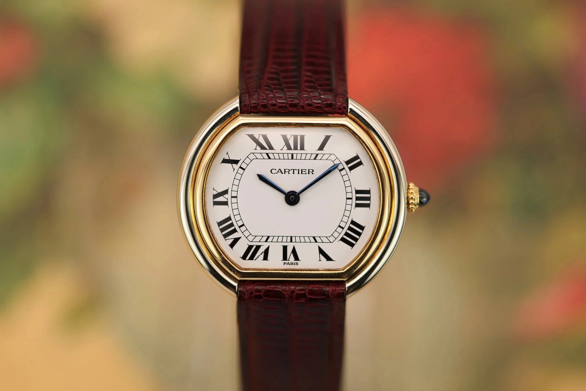 Cartier Ellipse Gondole Ref. 7920 | Paris Dial - Sierra Time Co