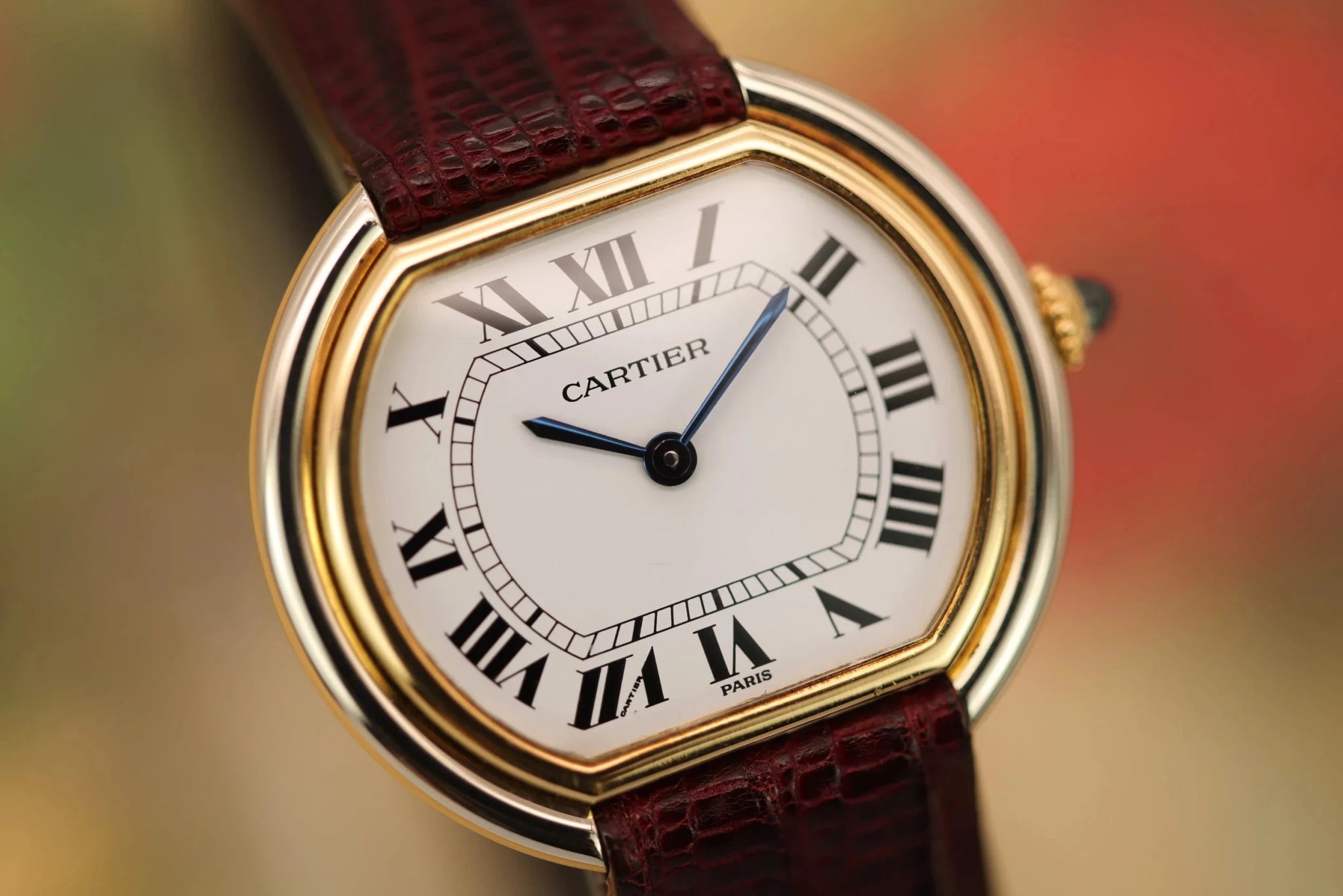 Cartier Ellipse Gondole Ref. 7920 | Paris Dial - Sierra Time Co