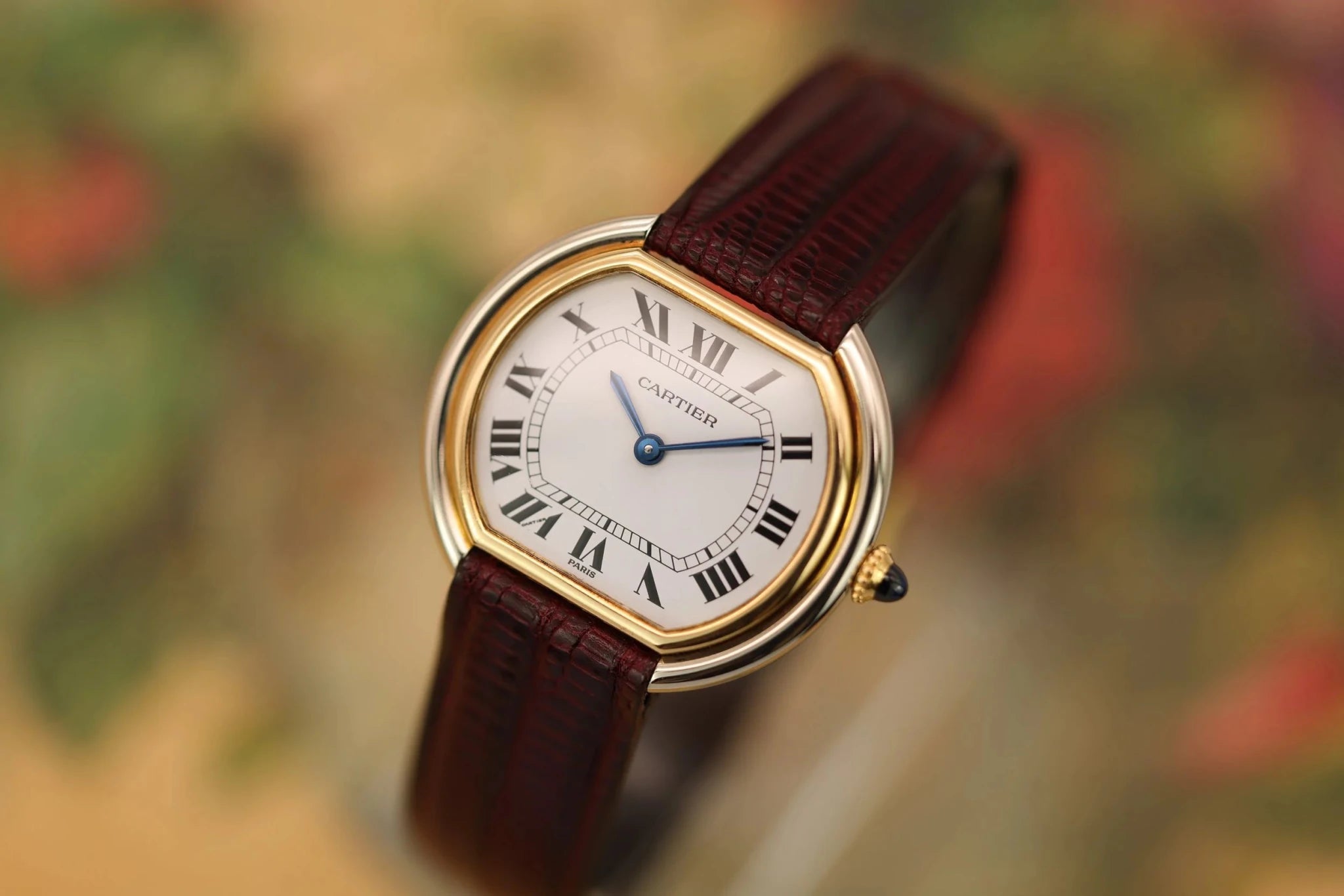 Cartier Ellipse Gondole Ref. 7920 | Paris Dial - Sierra Time Co